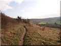 Path on Darland Banks