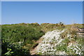 Footpath across the dunes