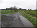 Lane, Ballyscullion