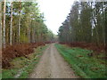 Ebblake, bridleway