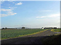 Open fields near Edgebolton