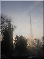 TQ3369 : All Saints Upper Norwood and transmitter mast on a foggy morning by Christopher Hilton
