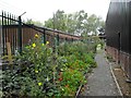 Cwm Harry Land Trust community garden