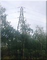 Pylon on the edge of Cheriton