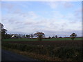 Boundary Farm & the Wind Turbine