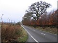 NH5344 : A862 road near Meikle Phoineas by Craig Wallace