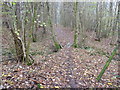 Footbridge for path 368 in Book Hurst