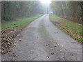 View north on metalled footpath 575