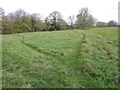 Footpath, Broad Chalke