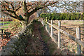 Footpath towards Hockerley