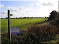 Footpath to Horham Road