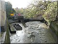 Beverley Brook