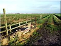 Footpath across the flat lands of Lancashire