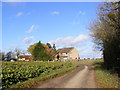 House in South Green