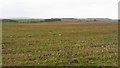 Farmland near Kelty