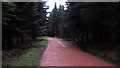 Road in Blairadam Forest