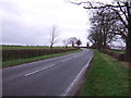 Dolly Lane towards Yafforth