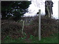 Footpath off Warlaby Lane