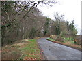 Bramper Lane towards Great Langton