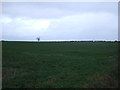 Farmland off the B6271