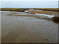 TF8145 : Much Mud on Trowland Creek by Chris Heaton