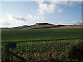 Nechtansmere and Dunnichen Hill