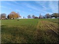 Hilly Fields, looking uphill!