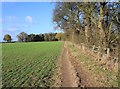 Centenary Way footpath near Kingston Barn