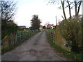 Driveway to Ashgood Farm