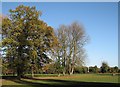 Cherry Hinton Park in November