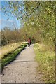 Riding Through the Roding Valley