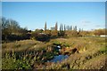 Autumn Colours and River Roding