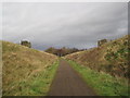 NY6861 : South Tyne Trail near Park Village by Les Hull
