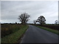 Lane heading north, Fellgill Moor