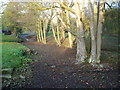 Dry riverbed at Landwade