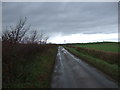 Mounstrall Lane towards Danby Wiske