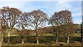 Beeches, Greenhill