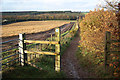 Fountain Dale bridleway