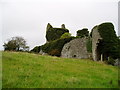 S1126 : Moorstown Castle, Co Tipperary by ethics girl