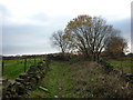 Deep Lane, towards Clayton