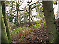 Disused gravel pits, Hempton