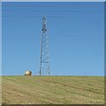 A hay field, West Shinness