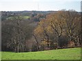 Newick Wood