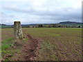 Brickyard Field trig