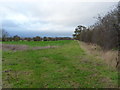 Farmland west of Frodesley