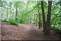 Sussex Border Path, Rake Hanger