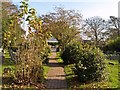 Cemetery Path