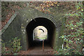 SK5962 : Tunnels or bridges by Richard Croft