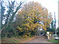 Church Lane, Ash