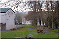 Houses and green space at Langlee